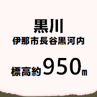 黒川 伊那市長谷黒河内 標高約950メートル