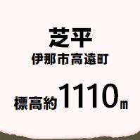 芝平 伊那市高遠町 標高約1110メートル