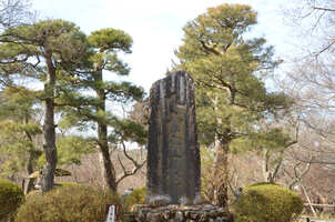 「天下第一の桜」の写真