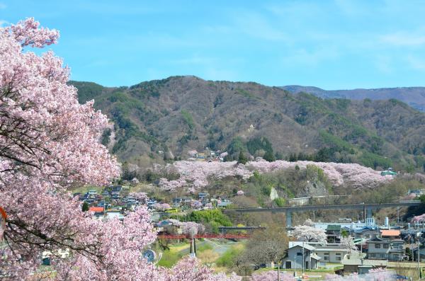 高遠小学校から高遠城址公園を望む写真