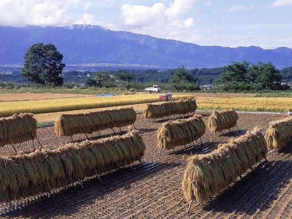 田園はぞかけ（富県）（写真）