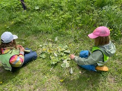 北カレリア地域との交流