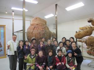 上伊那郡中川村のハチ博物館