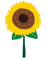 ひまわりイラスト