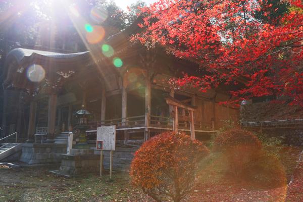 仲仙寺(西箕輪羽広)(写真)